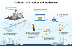 碳信用市場和機制
