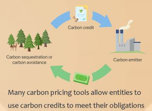 許多碳定價工具允許實體使用碳信用額度來履行其義務